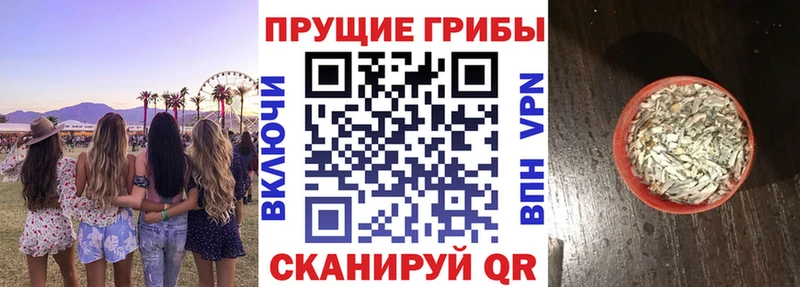 МЕГА вход  Гаврилов Посад  Галлюциногенные грибы мухоморы 
